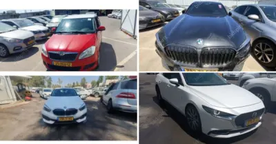 רינה חלבי - סאבק משרד עו״ד | עשרות רכבים מכונסת נכסים