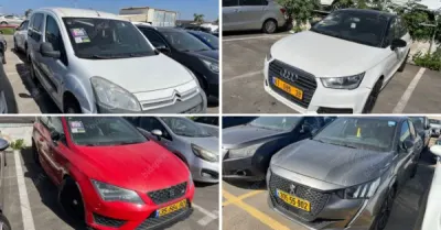נאמן, זקן ושות' – עורכי דין | 35 רכבים מכונס נכסים