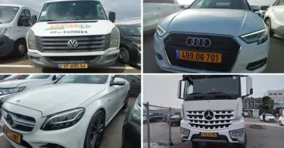 פלס, גרוהר, רגב כונס נכסים | 41 רכבים מכונס נכסים