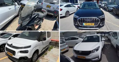 נאמן, זקן ושות' – עורכי דין | עשרות רכבים מכונס נכסים