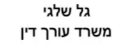 גל שלגי | משרד עורך דין