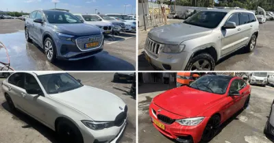 רינה חלבי - סאבק משרד עו״ד | עשרות רכבים מכונסת נכסים