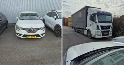 דורון, טיקוצקי, קנטור, גוטמן, עמית גרוס ושות'