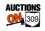 Auctions On 309 | Clean Household & Tools