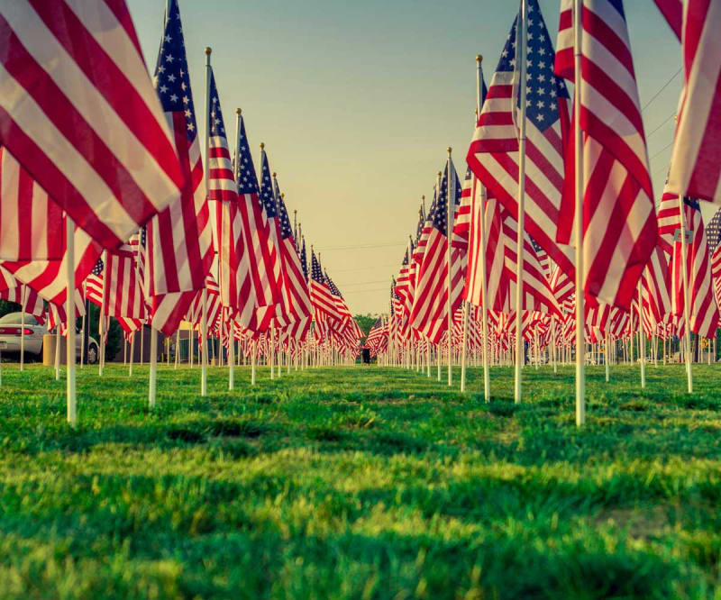 A field with rows of USA flags