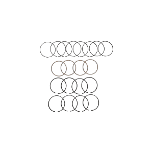 Descripción de la imagen