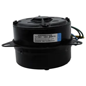 Descripción de la imagen