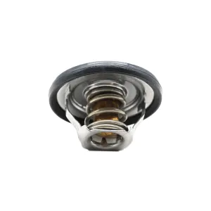 Descripción de la imagen