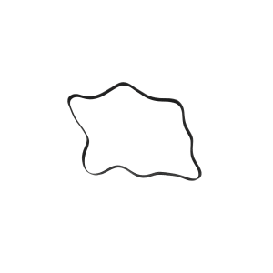 Descripción de la imagen