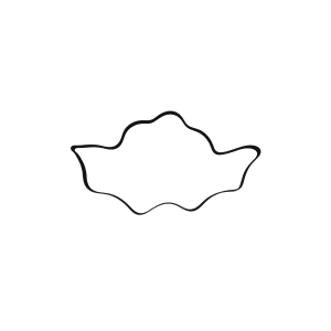 Descripción de la imagen