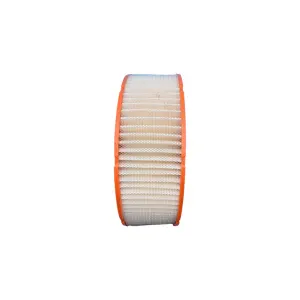 Descripción de la imagen