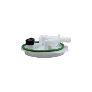 Descripción de la imagen