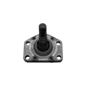 Descripción de la imagen