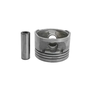 Descripción de la imagen