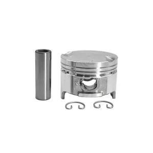 Descripción de la imagen