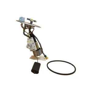 Descripción de la imagen