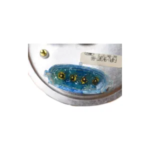 Descripción de la imagen