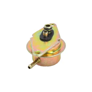 Descripción de la imagen