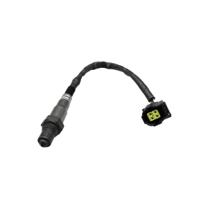 Descripción de la imagen