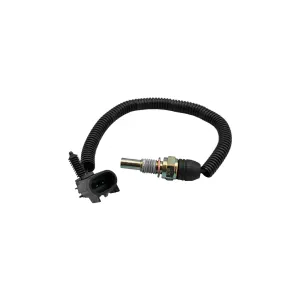 Descripción de la imagen