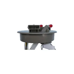 Descripción de la imagen