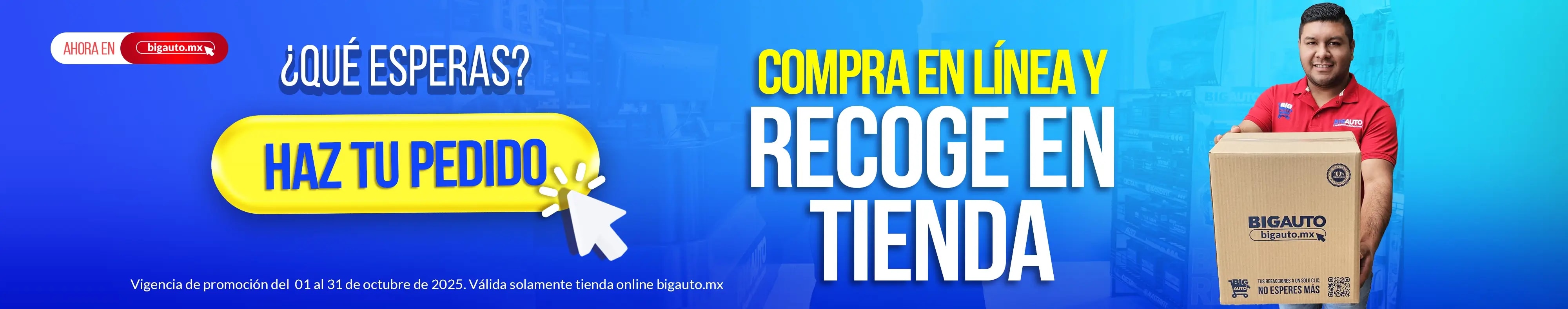 revista