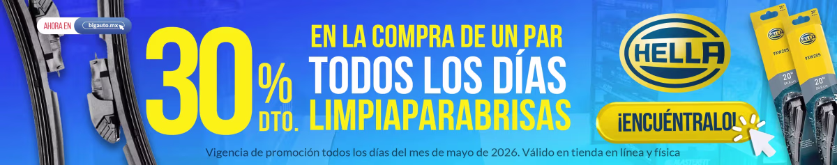 limpiaparabrisas