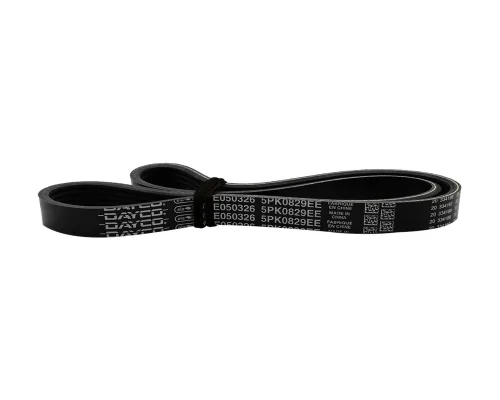 banda-de-accesorios-(elástica)-dayco-326e-k5