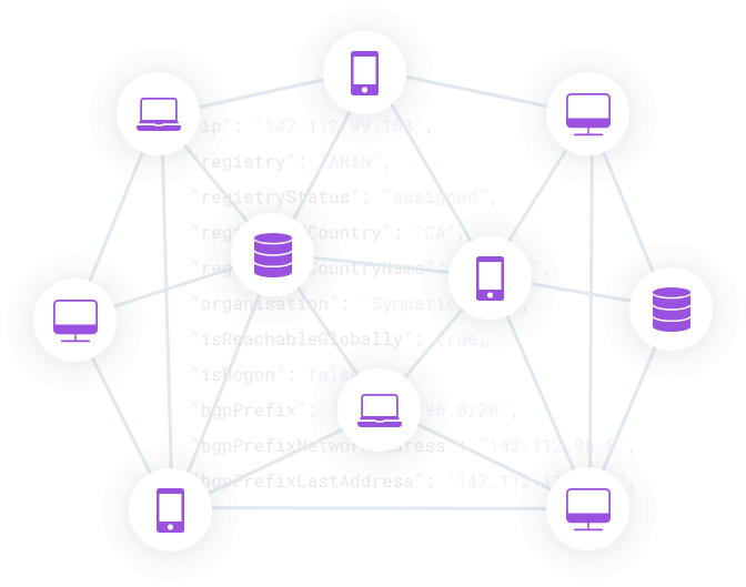 The internet network map