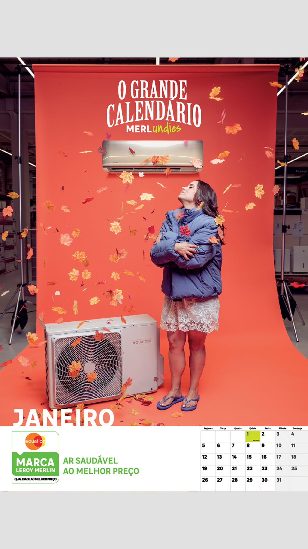 BigFish - LEROY MERLIN / show case