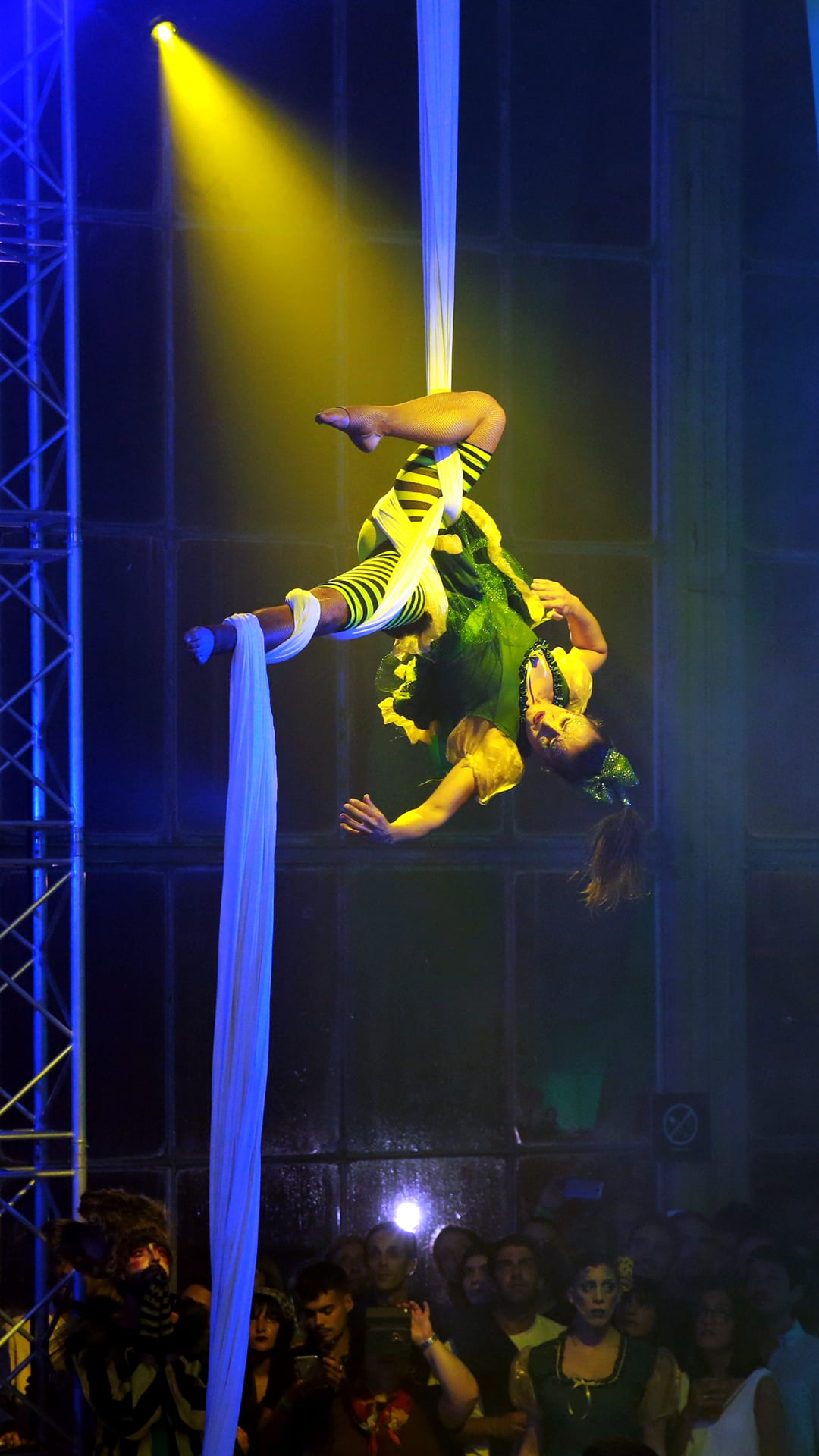 BigFish - Somersby Wondersby / show case