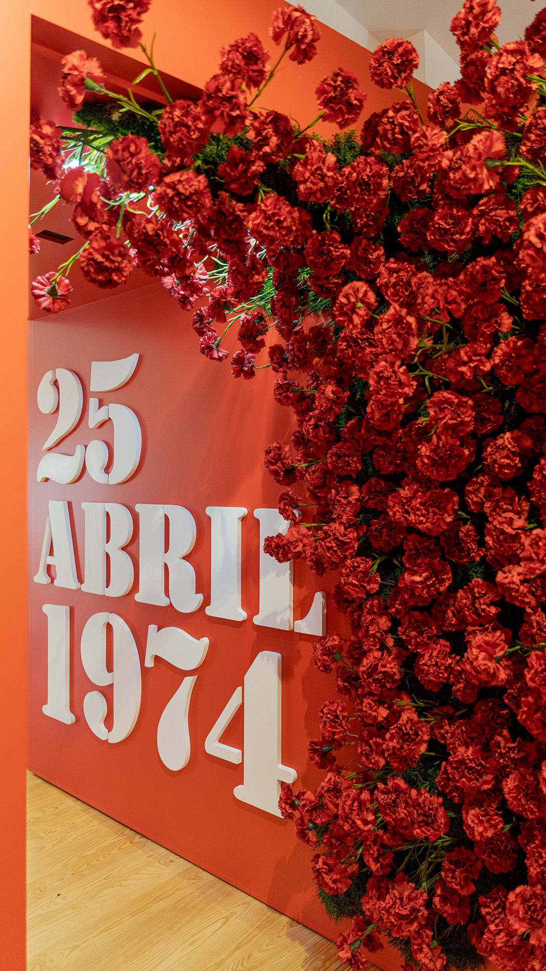 BigFish - MUSEU GRÂNDOLA, VILA MORENA / show case