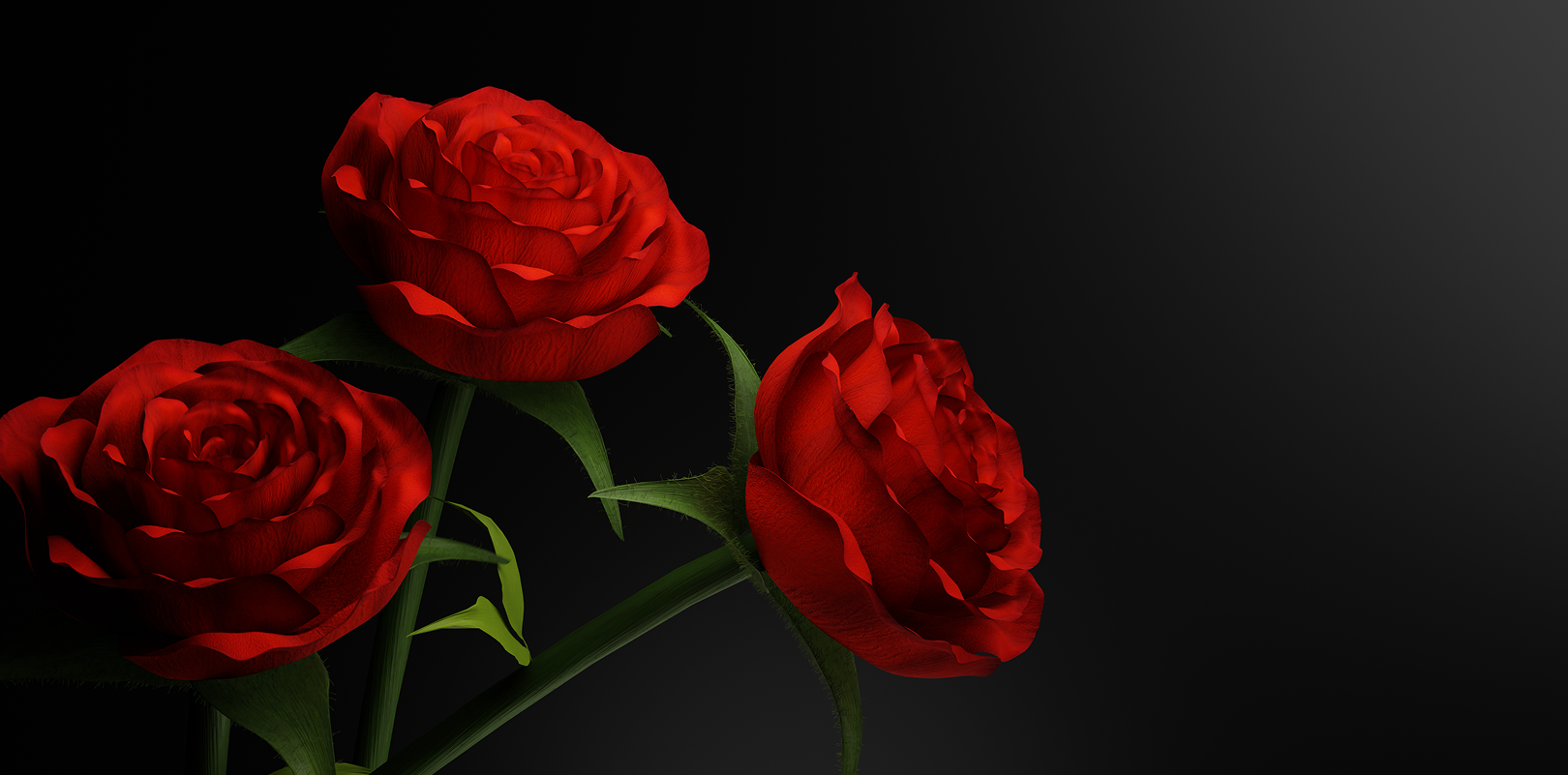 rosy glow mockup