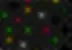 Low resolution placeholder