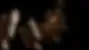 Low resolution placeholder