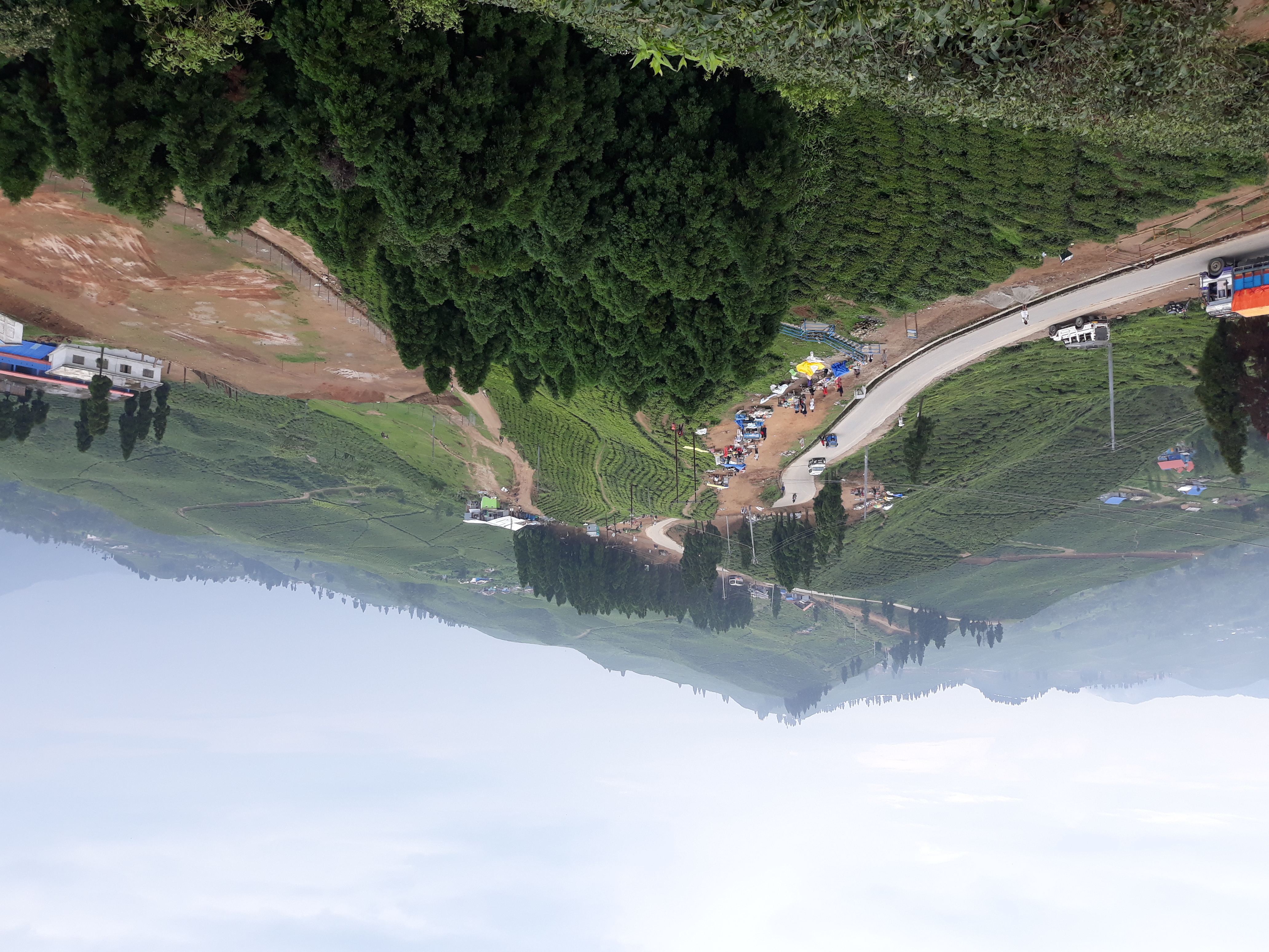 kanyam in ilam (nepal)