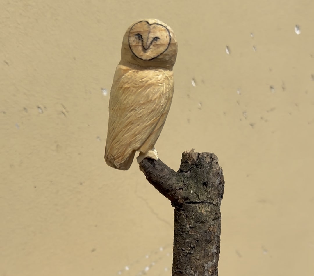 Second Whittling Project (Barn Owl)