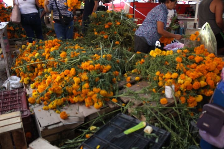 Flor de cempasúchil
