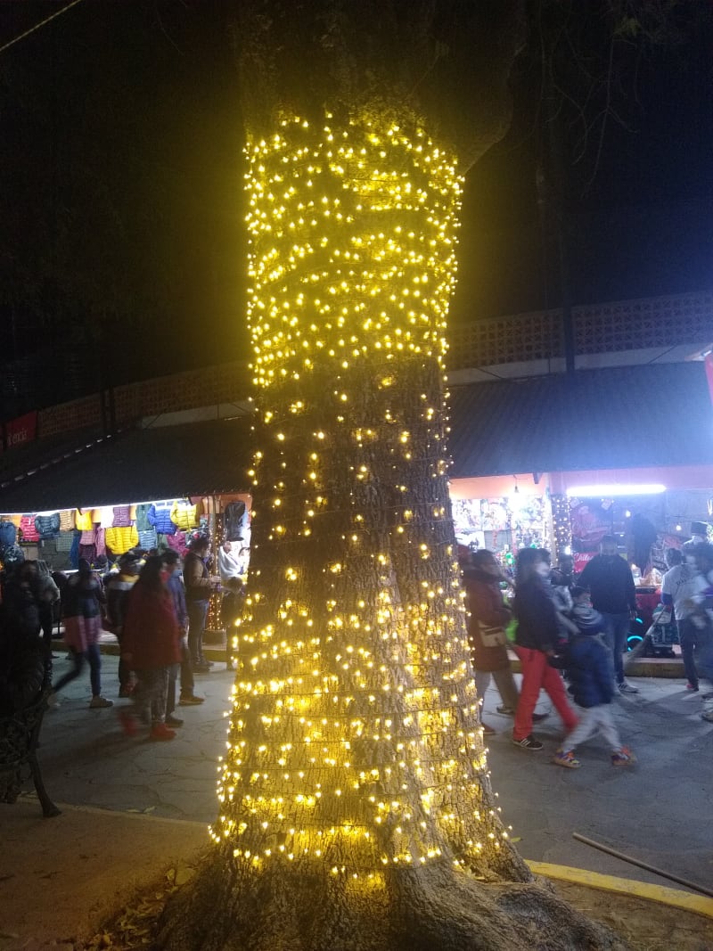 Novena de Aguinaldos