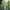 Parque del embalse MacRitchie cover