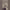 Loren Gray and Jason Derulo's "Savage" Duet cover