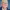 Tim Cook cover