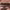 Urban Decay Naked Palette cover