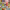 https://res.cloudinary.com/billionhands/image/upload/v1755738445/items/chxzghybznms9diuuehx.jpg-0cover
