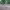 https://res.cloudinary.com/billionhands/image/upload/v1756111753/items/txzid6tnjaohap6ac1b7.jpg-0cover