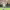https://res.cloudinary.com/billionhands/image/upload/v1756457578/items/oaeypxwiqysisr0jnc9m.jpg-3cover