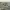https://res.cloudinary.com/billionhands/image/upload/v1756715002/items/k65tr8ndg2plmgwarcrn.jpg-2cover
