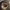 https://res.cloudinary.com/billionhands/image/upload/v1756791372/items/hwlbrilgklpjtu70czyq.jpg-2cover