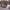 https://res.cloudinary.com/billionhands/image/upload/v1756981671/items/mm9bbwhy0doxgclmbvri.webp-0cover