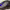 https://res.cloudinary.com/billionhands/image/upload/v1757073513/items/x4ev2ljznbrp6zz0gkzm.jpg-0cover